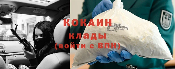 индика Армянск