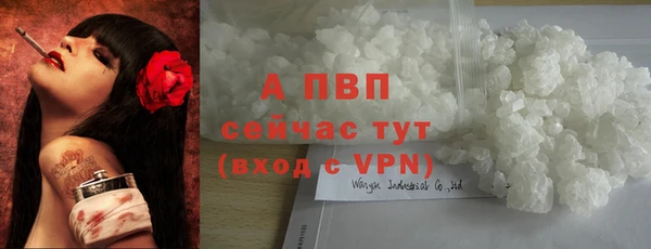 индика Армянск