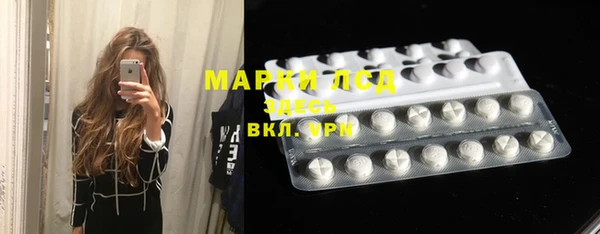 индика Армянск