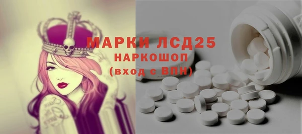 индика Армянск