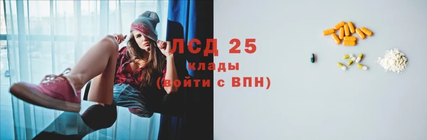 индика Армянск
