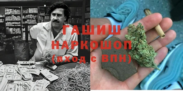 индика Армянск