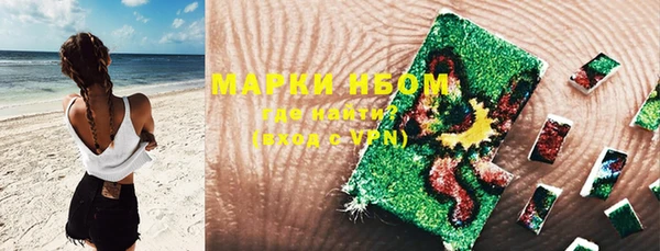 индика Армянск