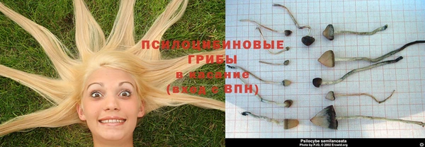 меф Арсеньев