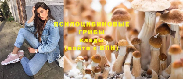меф Арсеньев