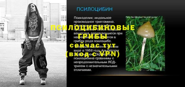 индика Армянск