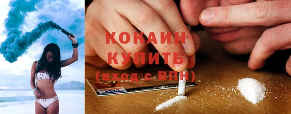 индика Армянск
