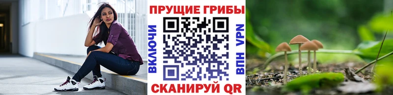 Галлюциногенные грибы мухоморы  blacksprut ТОР  Унеча 