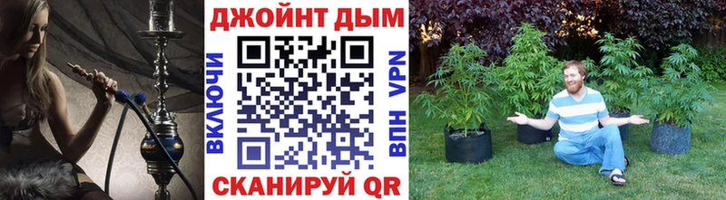 цены Унеча Шишки марихуана Ganja
